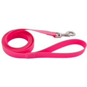 Coastal Pet Pro Waterproof Leash 3/4" x 6' Long Fascia