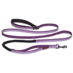 Company of Animals Halti All In One Lead for Dogs -Purple (Option 1: Large)