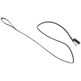 Circle T Leather Lead (Option 1: 6' Long x 3/8" Wide)