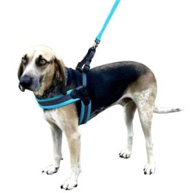 Sporn Easy Fit Dog Harness Blue (Option 1: Medium 1 count)