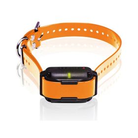 Dogtra Edge RT Trainer Extra Collar (Option 1: Orange)